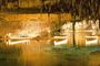 Grutas del Drach