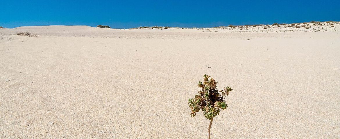 Fuerteventura Dunas, Costa e Tradições do Norte