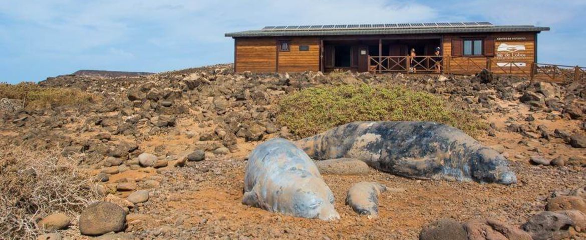 Fuerteventura Misteriosa Ilha de Lobos